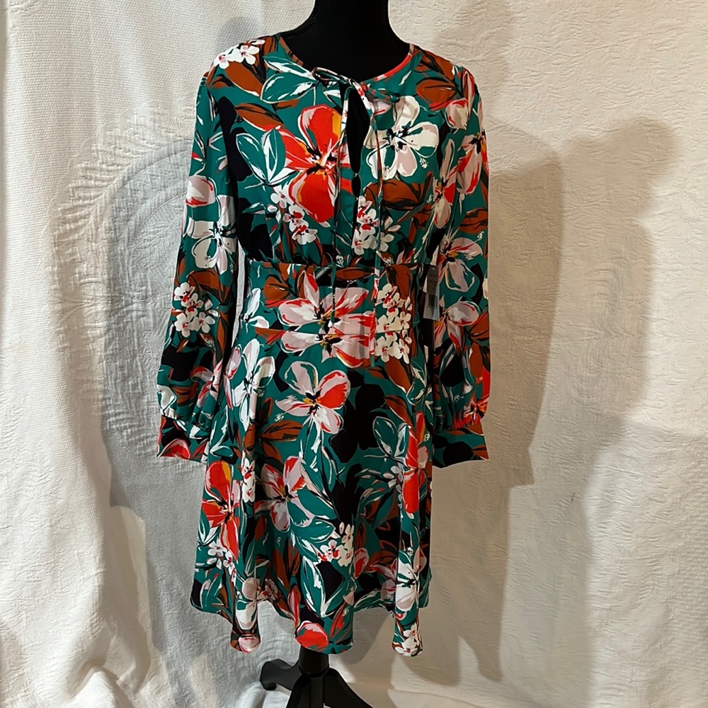 Alexia Admor dress, size 6,‎ NWT